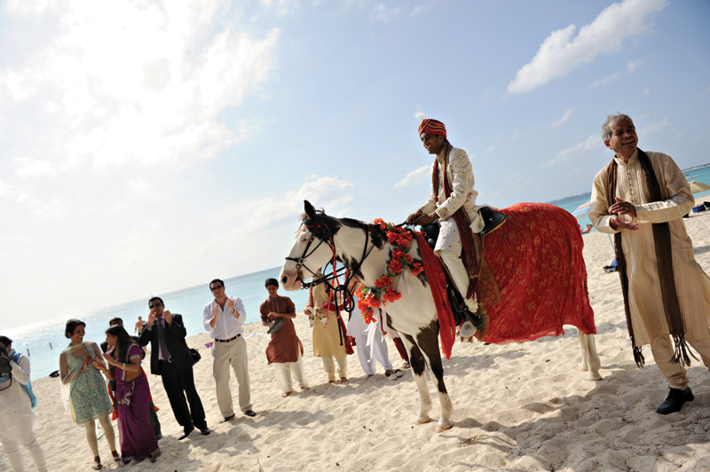 Groom sitting on the horse 